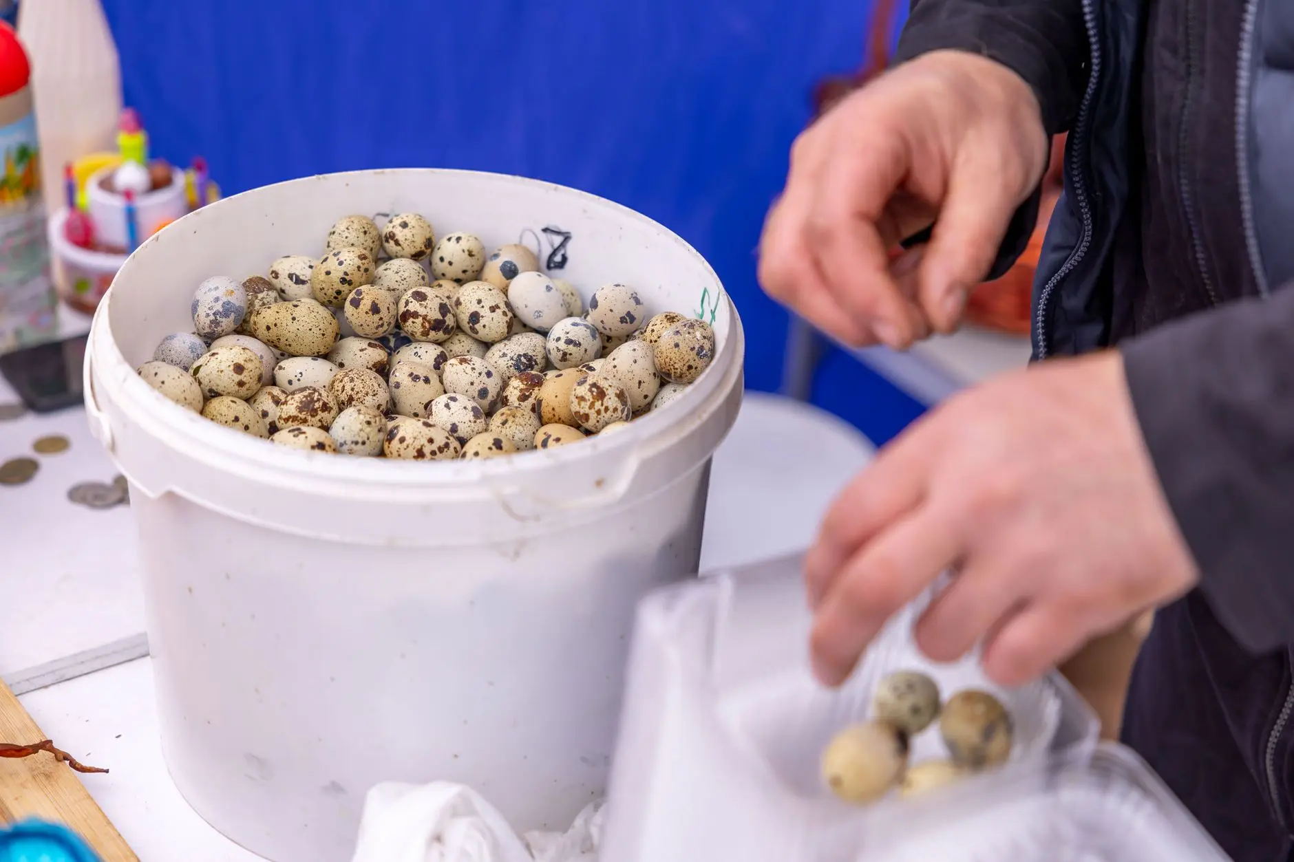 菏泽地区庆典条幅定制流程与工期控制要点分析