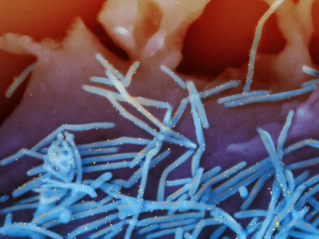 锦旗与绶带定制工艺对比：刺绣与数码烫印如何选择